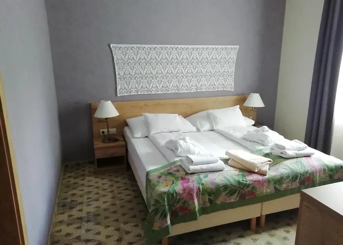 包贾尼库利亚酒店 Zalacsány