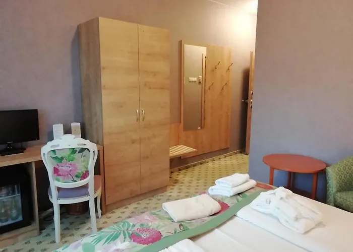 包贾尼库利亚酒店 4* Zalacsány