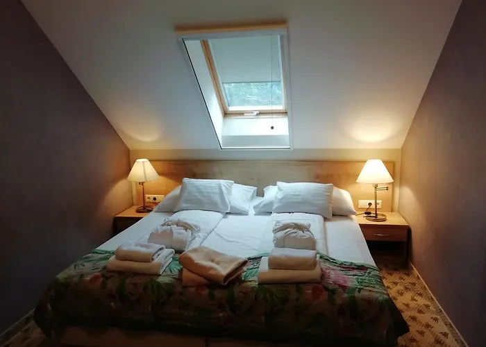 包贾尼库利亚酒店 酒店