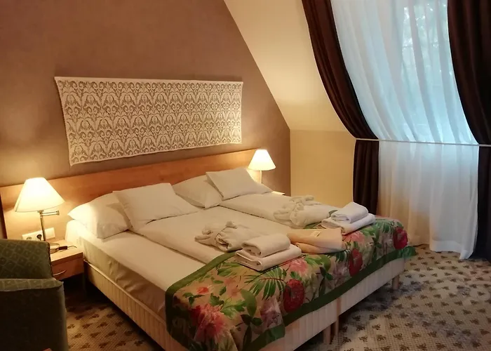 包贾尼库利亚酒店 酒店 Zalacsány