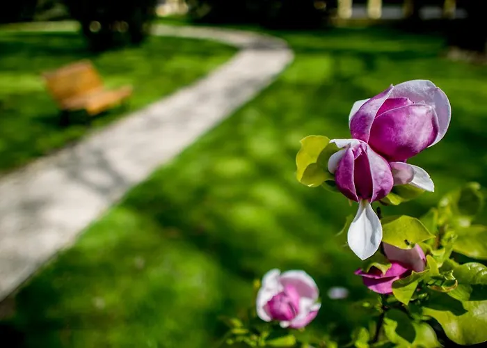 Batthyany Kuria ホテル