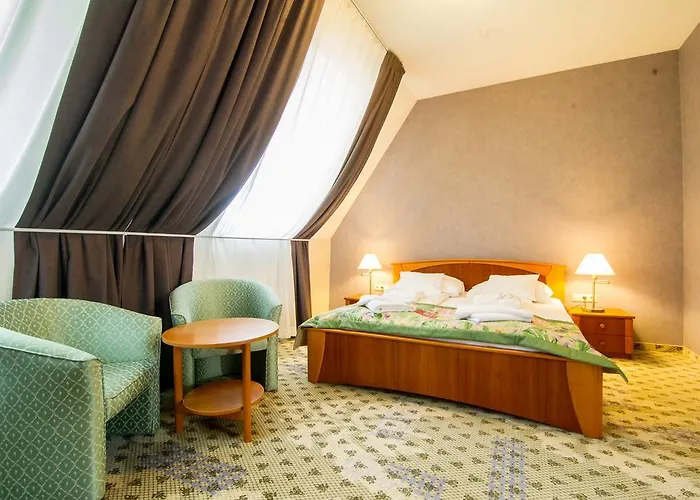 酒店 包贾尼库利亚酒店 Zalacsány