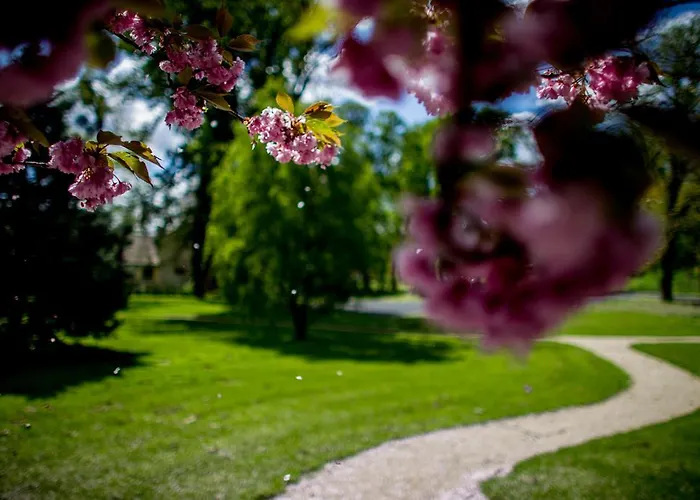包贾尼库利亚酒店 酒店